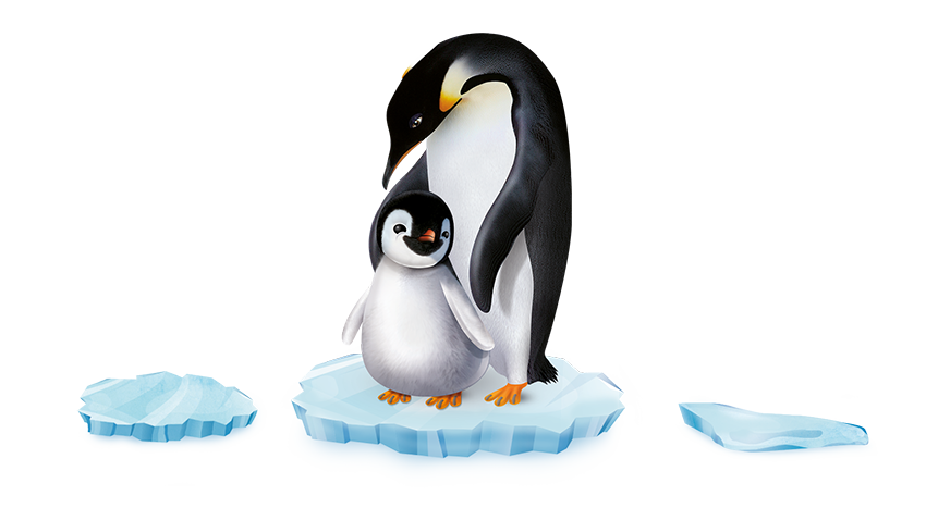 PINGO- Bio Windeln Gr. 1 (Newborn, 2-5 Kg) made in Switzerland